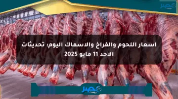 أسعار اللحوم والفراخ والأسماك اليوم: تحديثات الأحد 11 مايو 2025